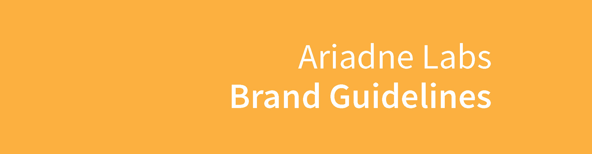 Ariadne Labs Brand Guidelines
